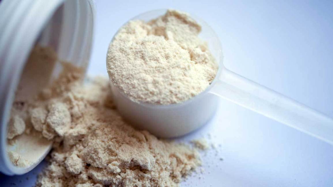 The most recommended protein powder in 2021