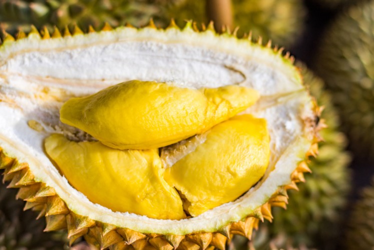 durian delivery service