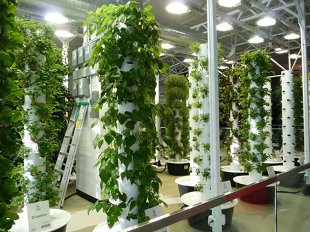 The Great Role of The Aeroponic Systems