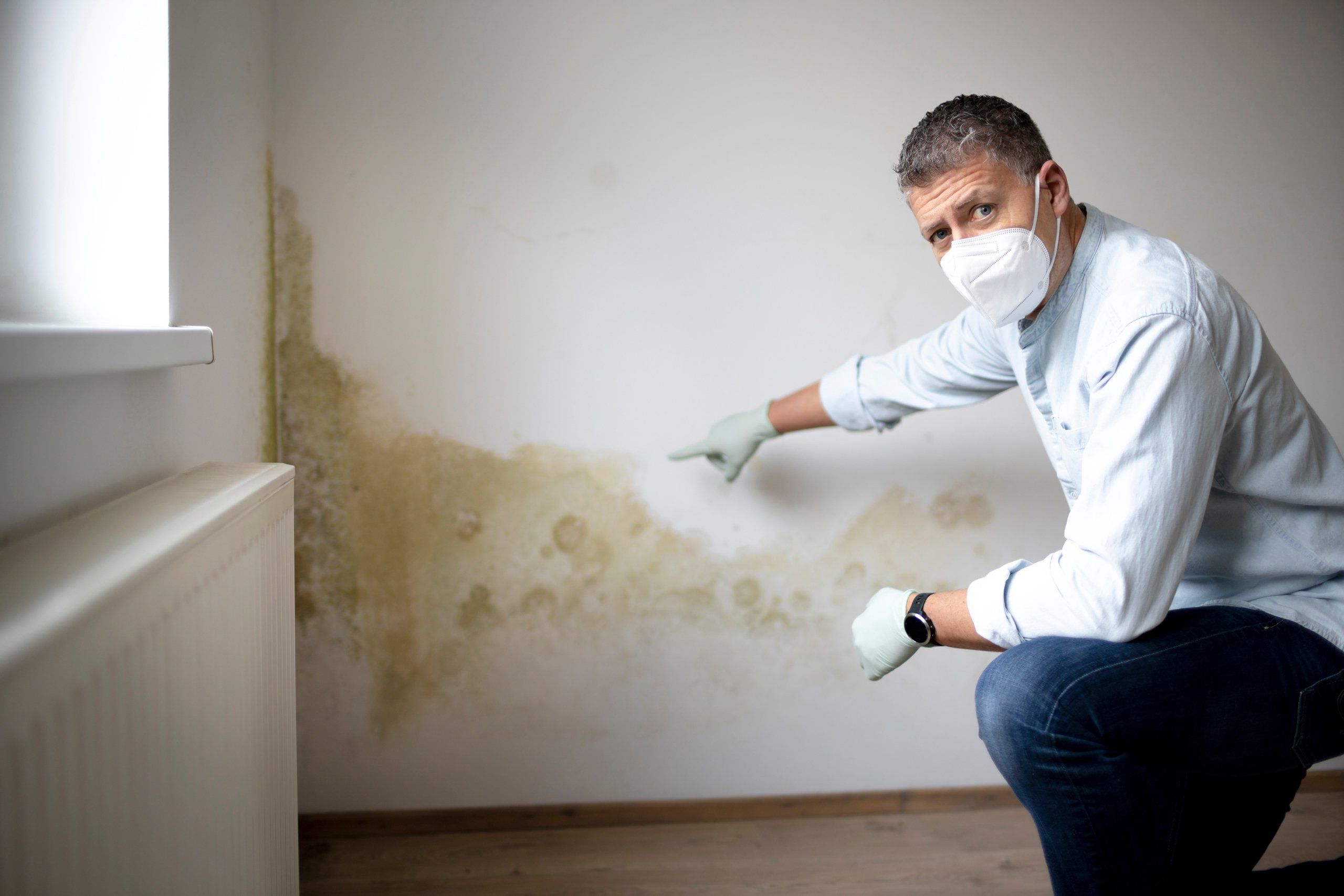 mold testing and inspection hunters creek village
